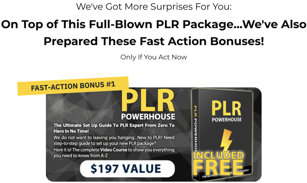 (PLR) No More Excuses Bonus 1